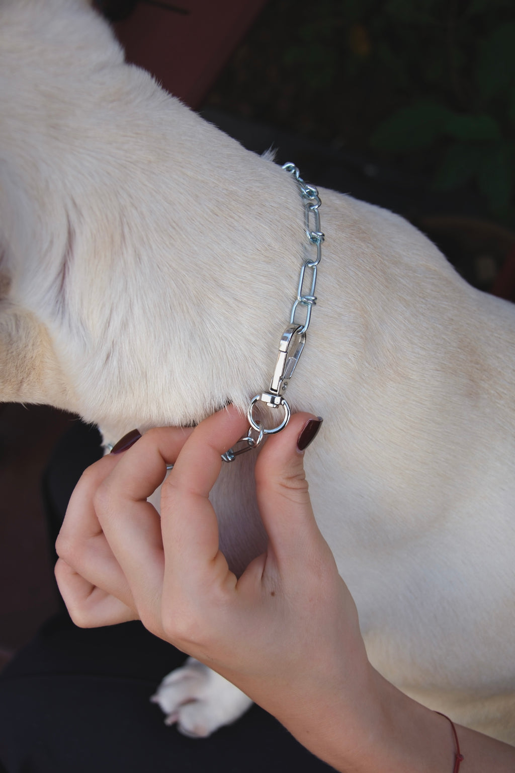 METAL CHAIN WITH A HEART