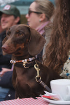 BROWN BROWN NECKLACE