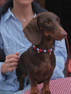 BERRY BLUE NECKLACE