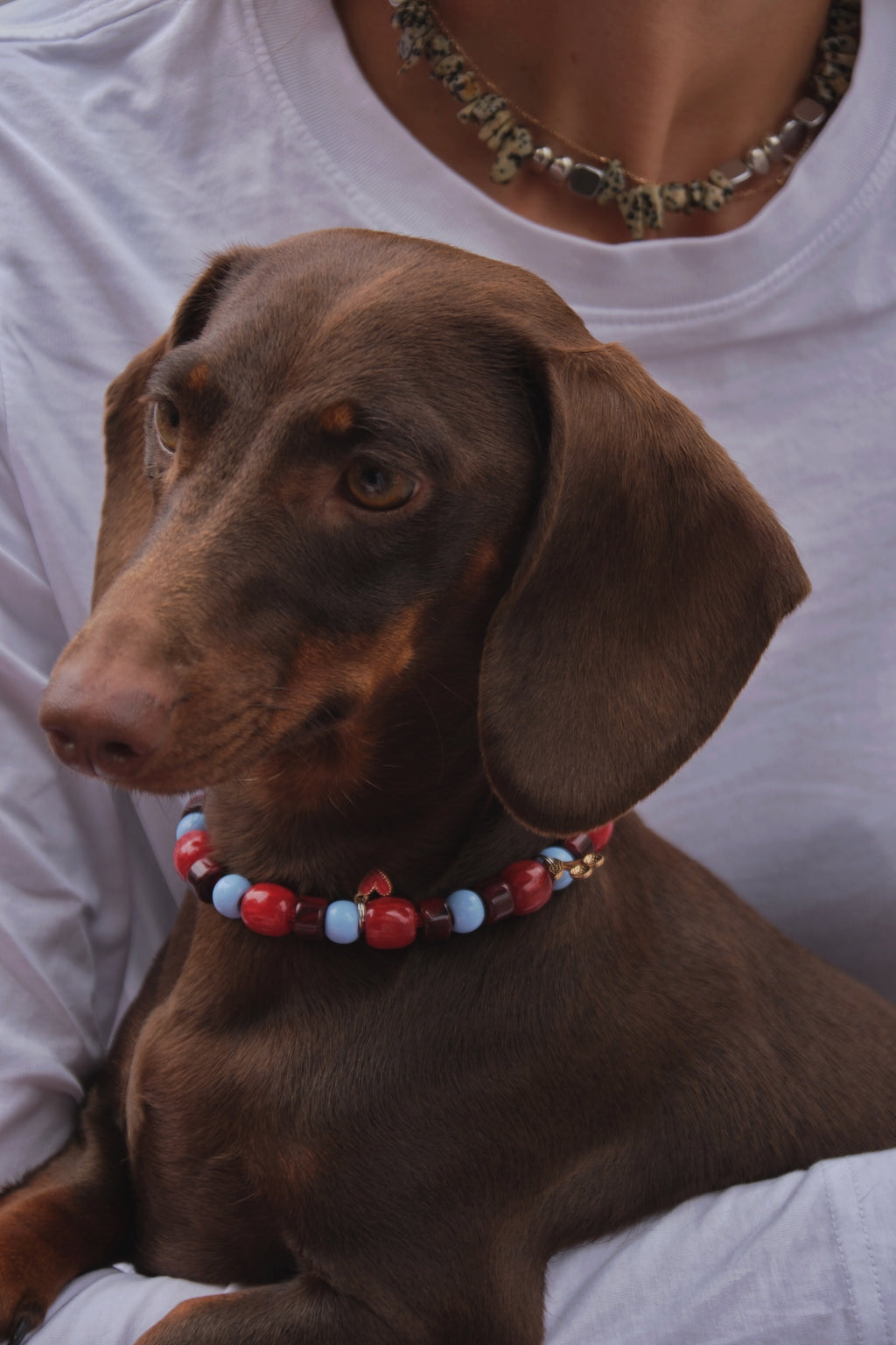 BERRY BLUE NECKLACE
