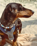 SEA & SAND NECKLACE